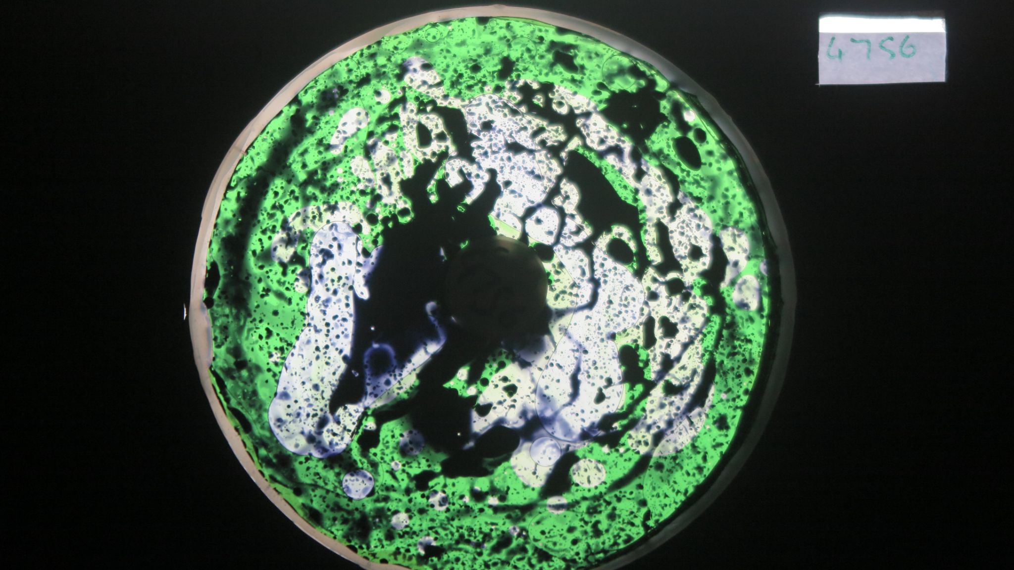 BV4756 bubble vision oil wheel